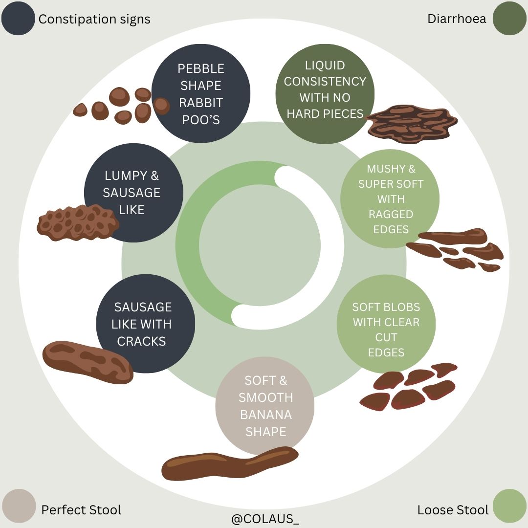Have you heard of the Bristol Stool Chart?