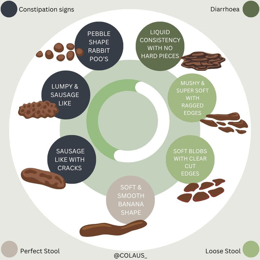 Have you heard of the Bristol Stool Chart?